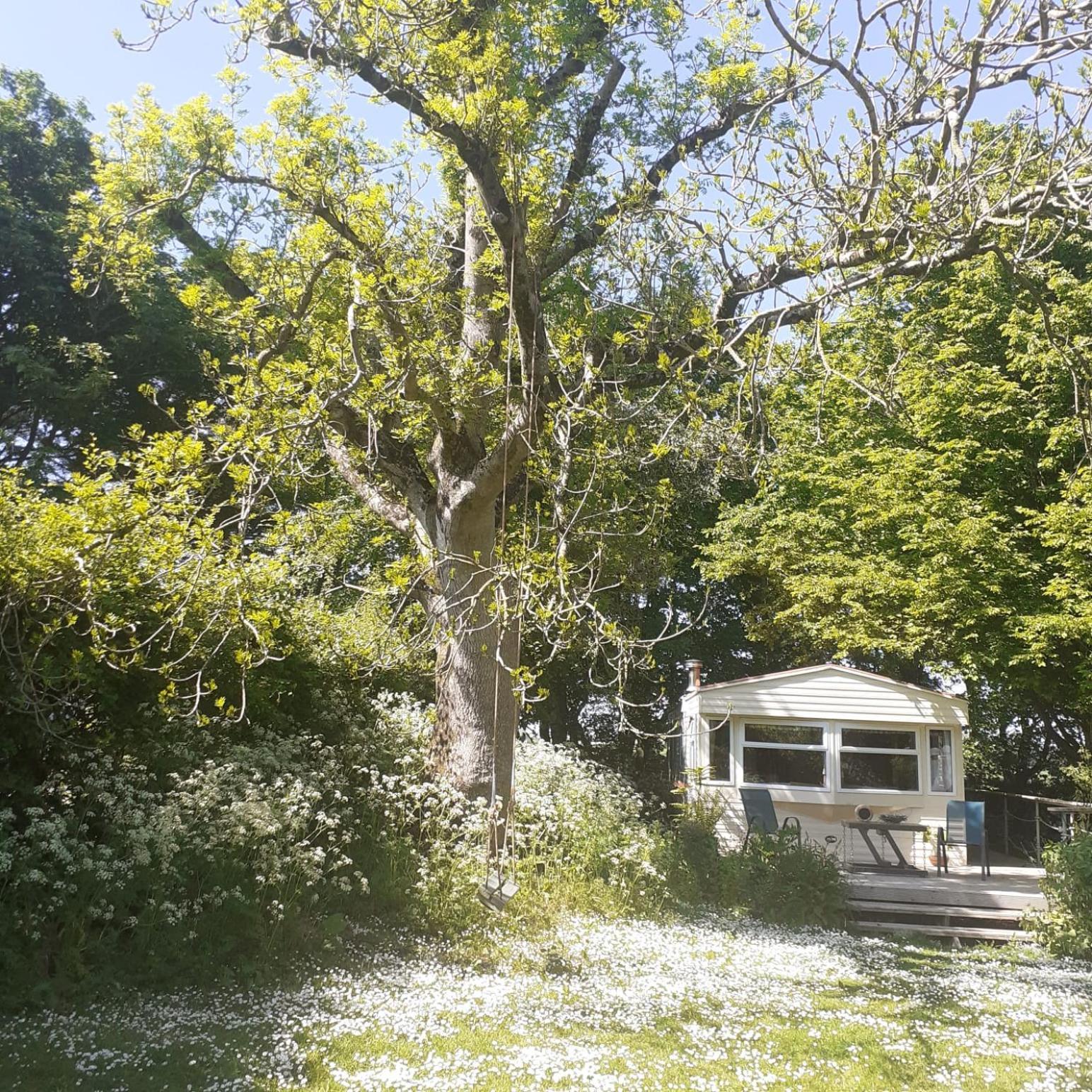 Doughery Den The Dark Hedges Hideaway Armoy Exterior foto