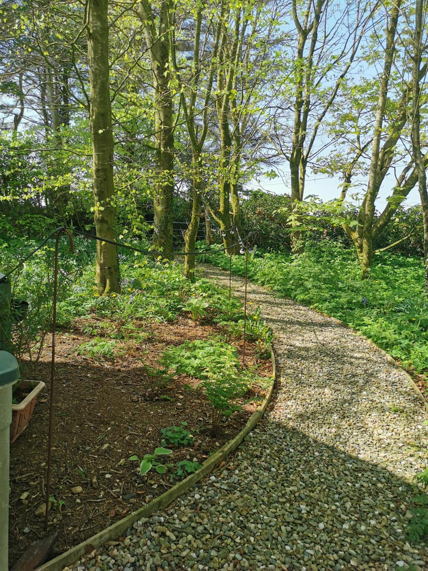 Doughery Den The Dark Hedges Hideaway Armoy Exterior foto